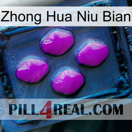 Zhong Hua Niu Bian 04